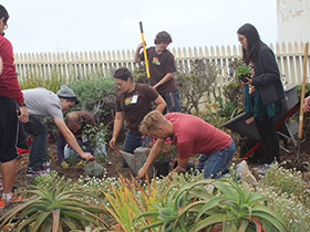 Montara Garden for Peace party